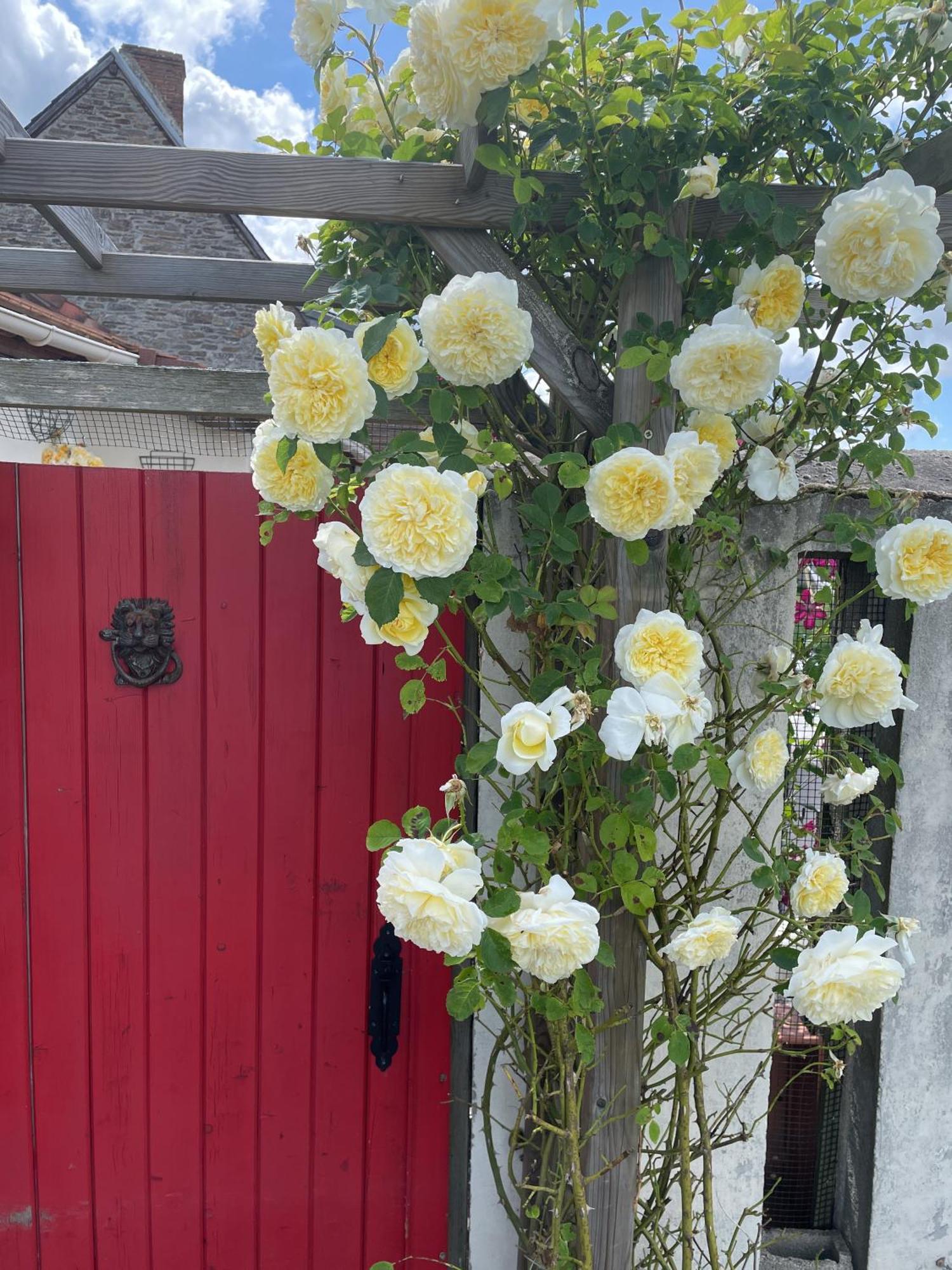 Delightful French Rustic Studio Jumilhac-le-Grand Zewnętrze zdjęcie