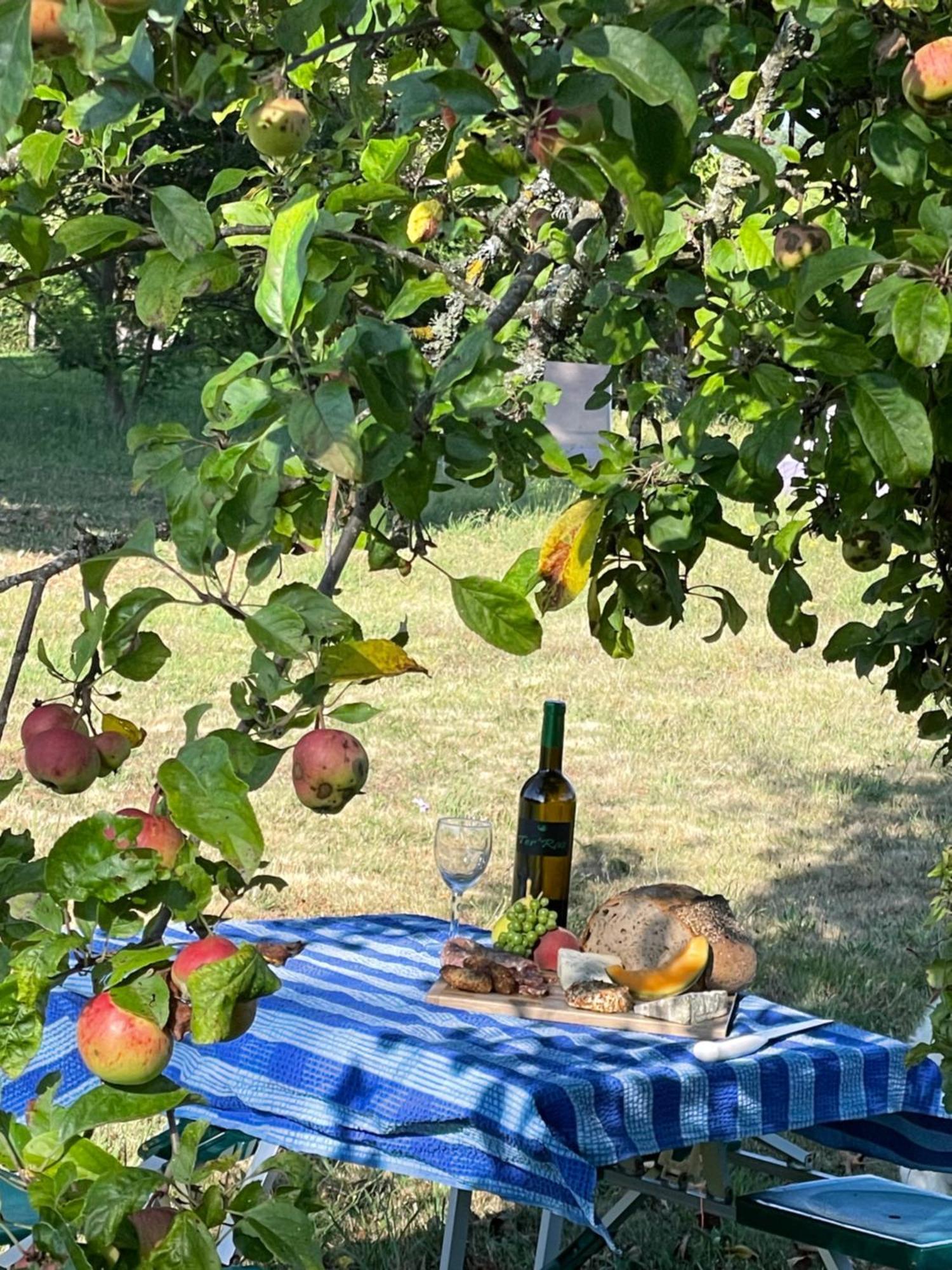 Delightful French Rustic Studio Jumilhac-le-Grand Zewnętrze zdjęcie